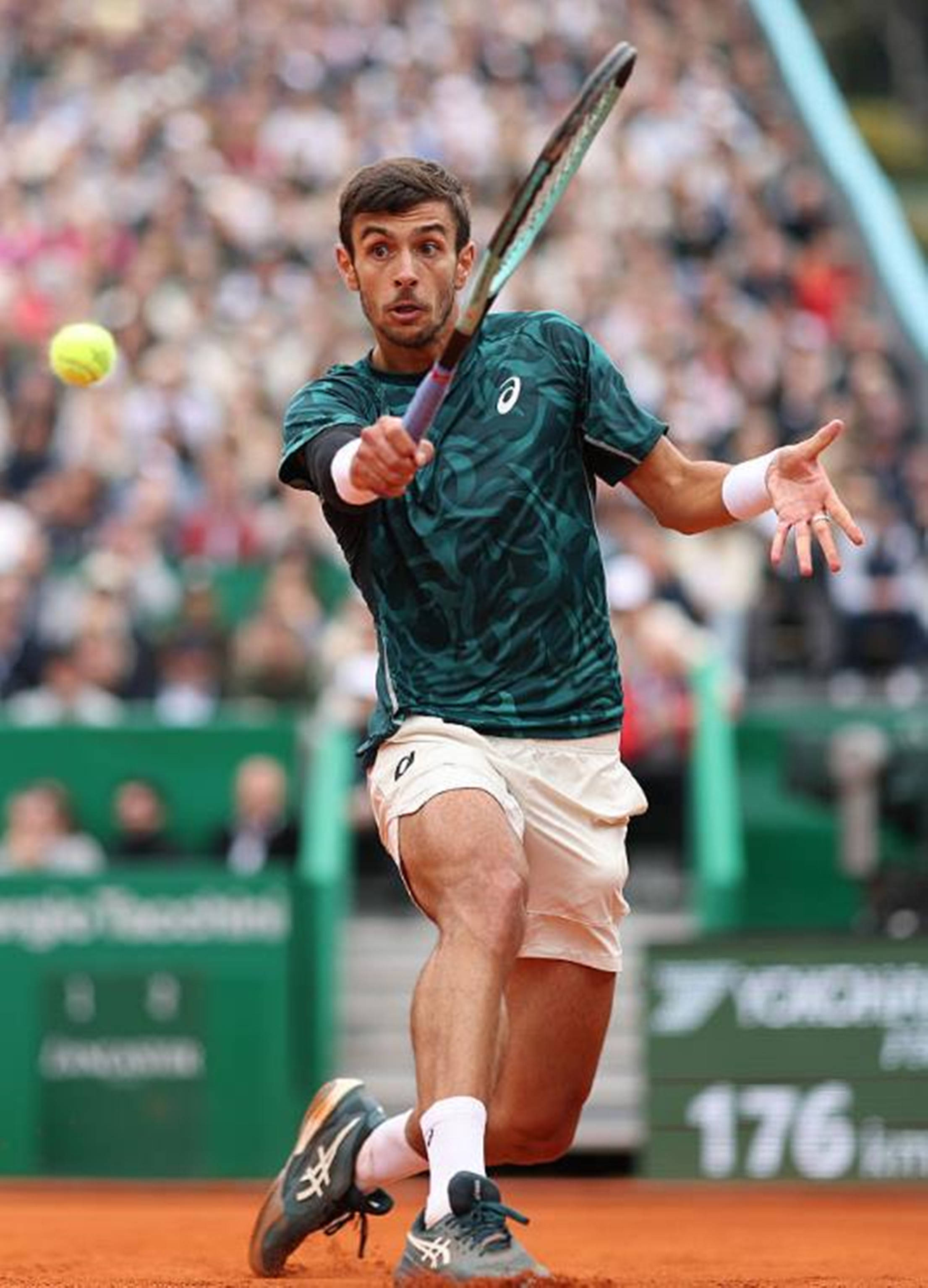 不急不躁 不急不躁