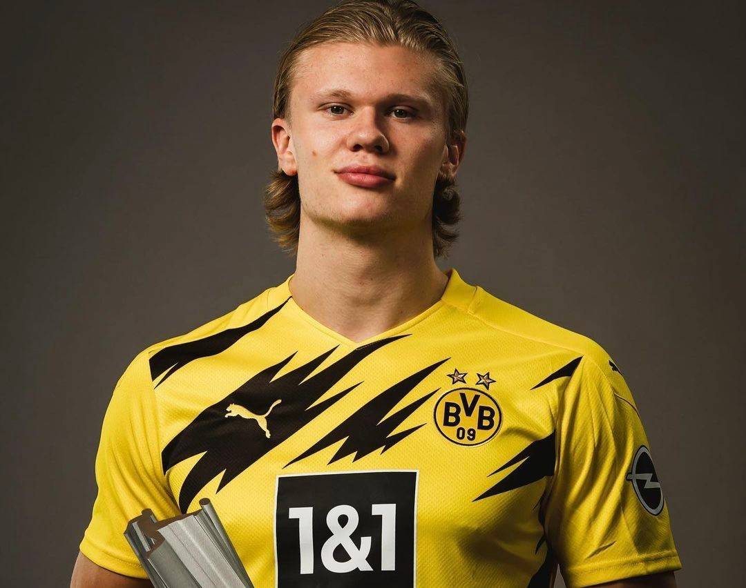 博弈加深 博弈加深