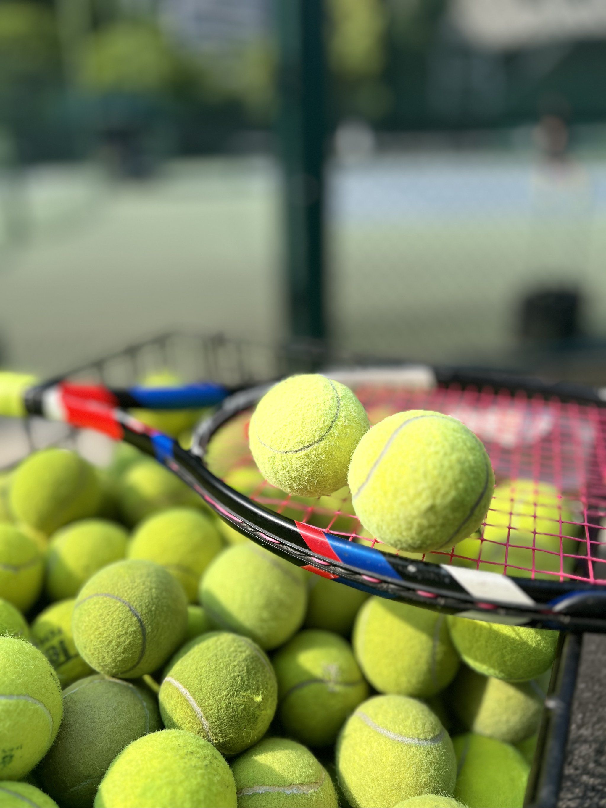 的策略屡见 的策略屡见